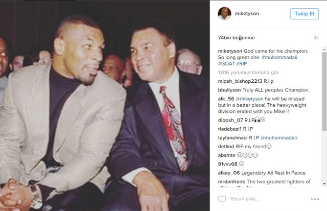 16-06/04/tyson-1465051190