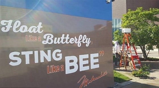 16-06/06/resized_20fcc-5cba58202205339