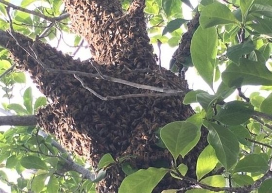 16-06/06/resized_d7a5e-1f49c6a92205337