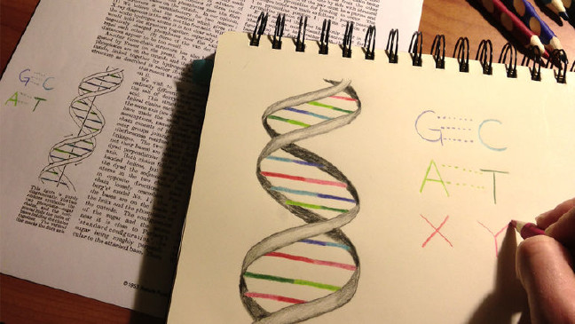 16-06/08/1248618_f85327efd3e1ceceb0839aac06ce5a6b