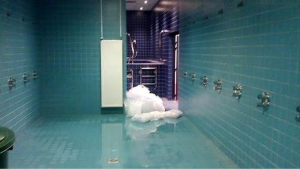 16-06/15/57610181c03c0e5dfcc1d2b3