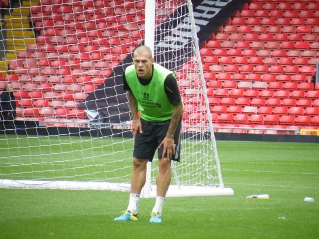 16-06/21/martin_skrtel-2013