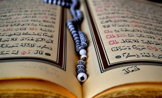 16-06/28/3-1467115428