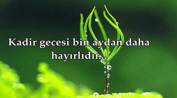 16-06/28/fft99_mf6844971