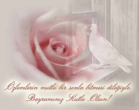 16-07/04/10-1467629581