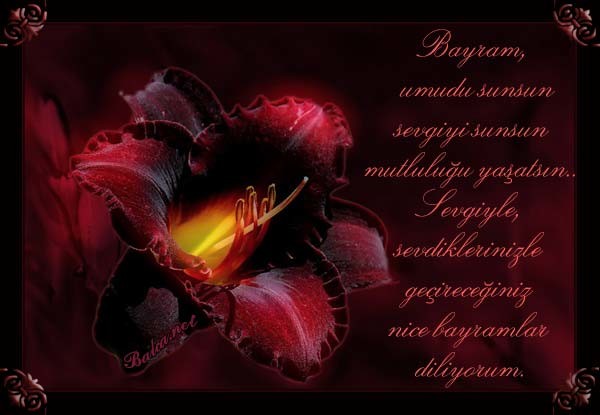 16-07/04/11-1467629577