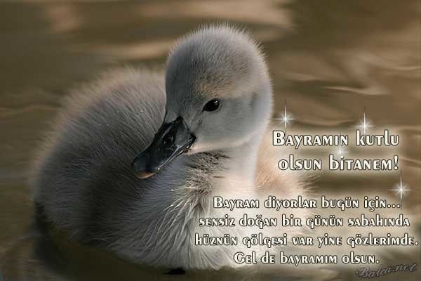 16-07/04/14-1467629559