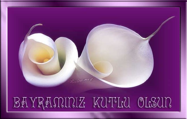 16-07/04/15-1467629553