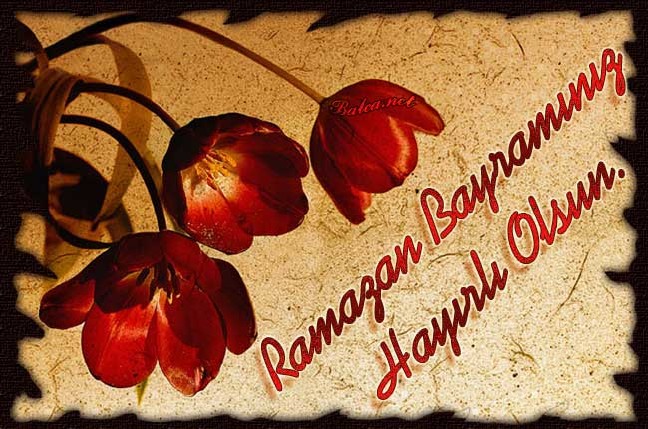 16-07/04/19-1467629530