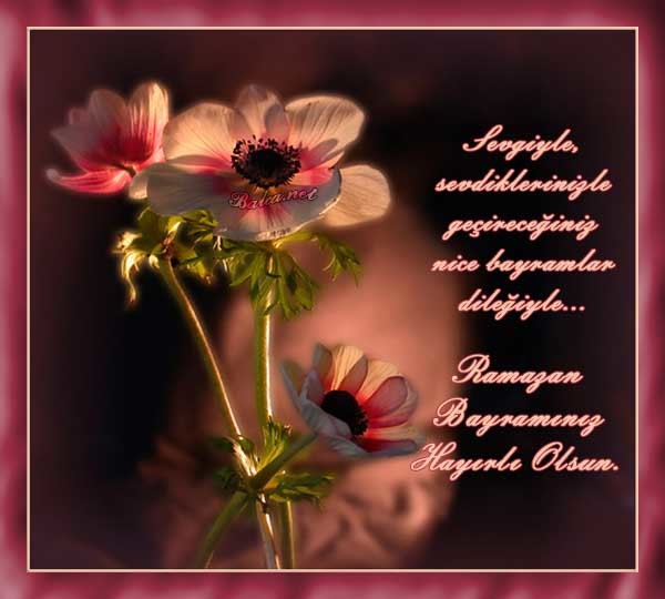 16-07/04/21-1467629517