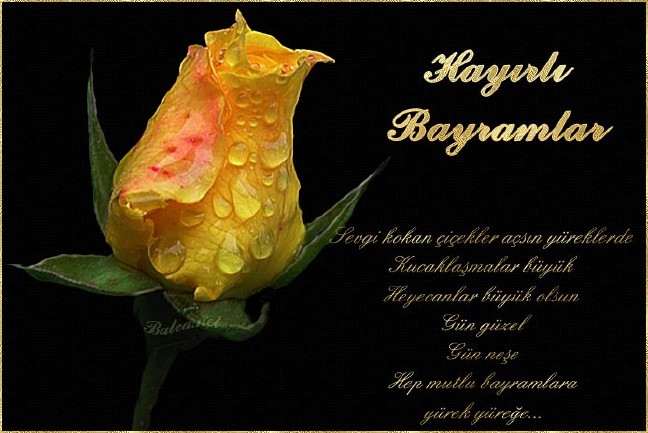 16-07/04/26-1467629490