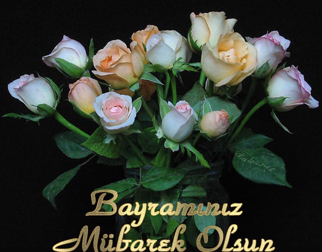 16-07/04/27-1467629485