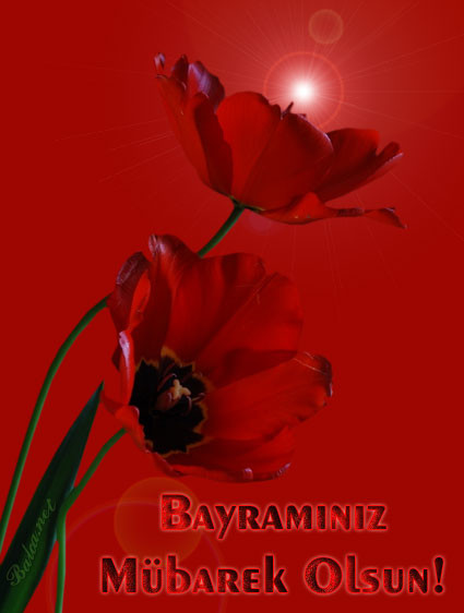 16-07/04/31-1467629466