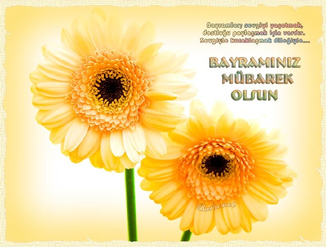 16-07/04/34-1467629446