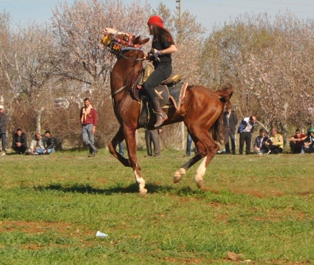 16-07/08/received_10210295790018264