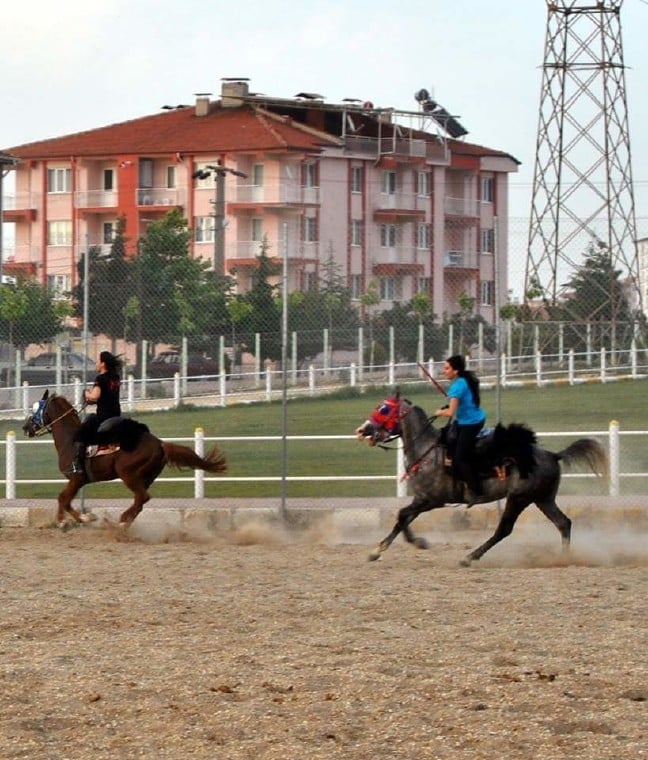 16-07/08/received_10210295790178268