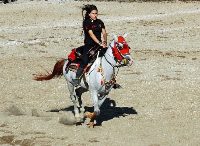 16-07/08/received_10210295790258270