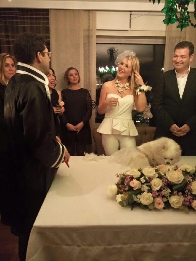 16-07/24/56de9582c03c0e4050068571