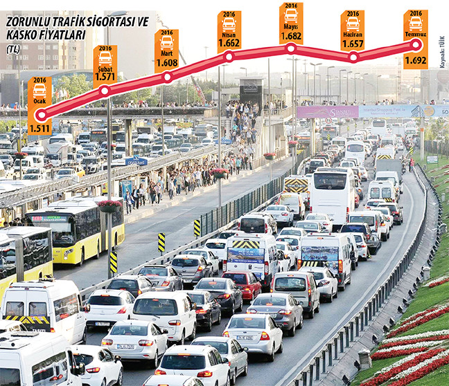 16-08/13/saz-dfdesfvcv