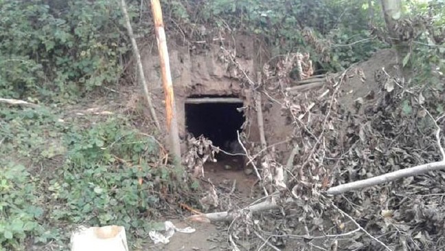 16-08/29/22-1472491534