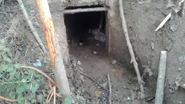 16-08/29/33-1472491548