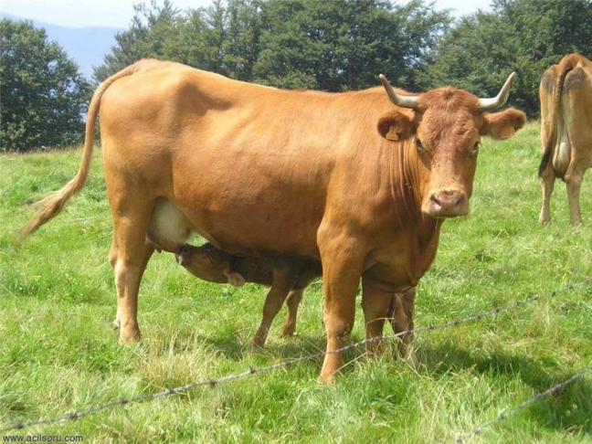 16-08/30/3219_web_dana