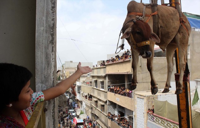 16-09/05/kurban_2503