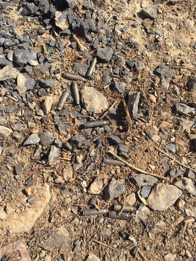 16-09/06/bb0f52dd-74ff-4bd7-b9ca-e044385ec218-1