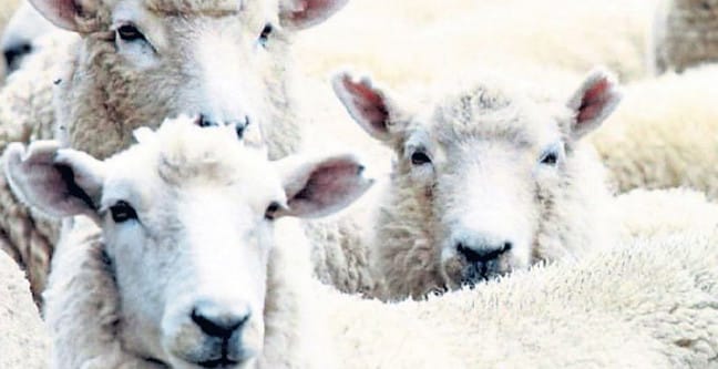 16-09/07/basliksiz-1-1473238186