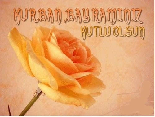 16-09/09/1393602_588968244483001_1869664486_n