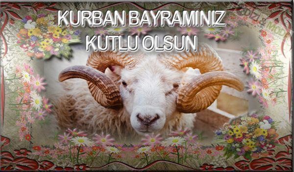 16-09/09/kurban-bayrami-resimli-mesaj.jpg
