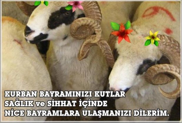 16-09/09/kurban-bayrami-resimli-mesaji