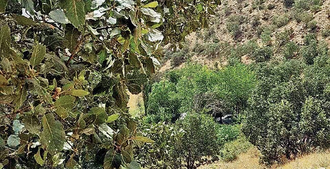 16-09/11/11kr12bombaliarac2