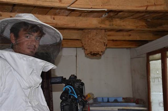 16-09/13/2-1473750734