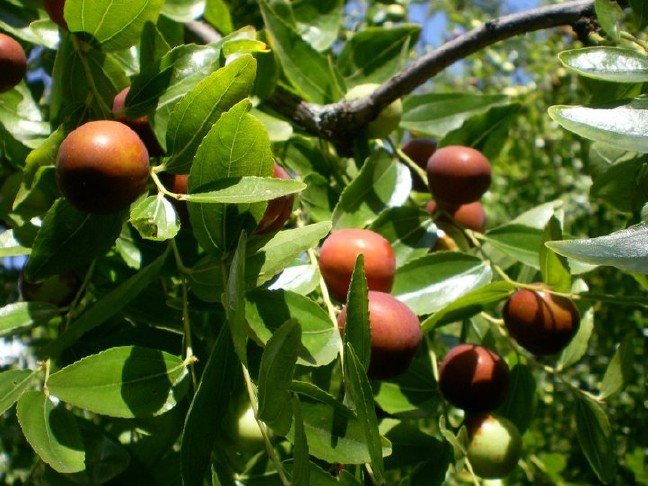 16-09/17/hunnap-bsm8e0pf