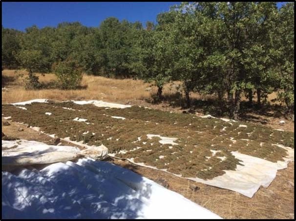 16-09/25/lice-kirsalinda-pkk-ya-uyusturucu-darbesi-7698395