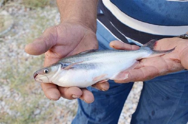 16-09/27/57ea12fc18c77330e473b62c