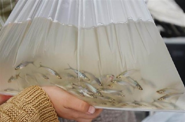 16-09/27/57ea130618c77330e473b630