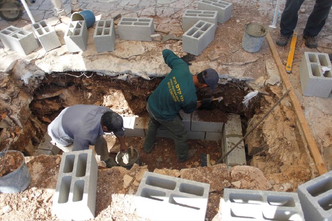 16-09/28/8-1475065855