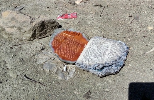 16-10/03/jandarma-alarma-gecti-7738136-1475505676