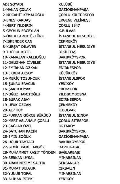 16-10/04/amator-milli-aday-kadro