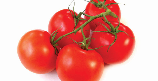 16-10/13/12kr04domatesdekupe