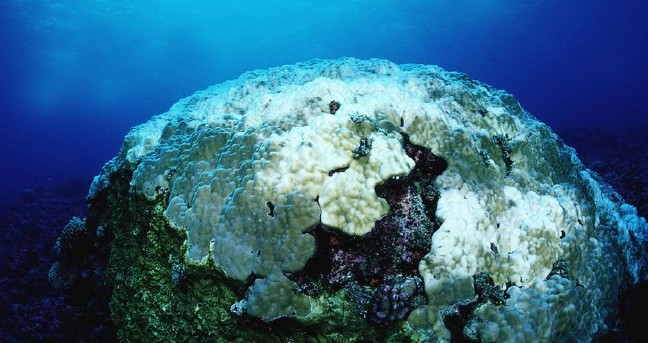 16-10/16/1-1476600717