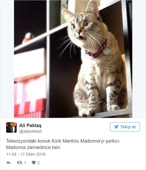 16-10/17/2016-10-17_122924