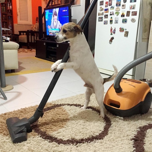 16-11/27/583a9d77c03c0e19dcd0650e