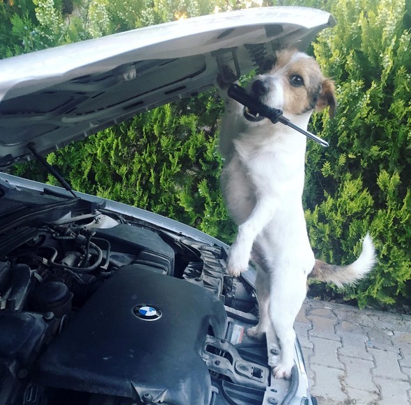 16-11/27/583a9d77c03c0e19dcd06511