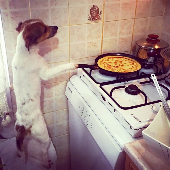 16-11/27/583a9d77c03c0e19dcd06513