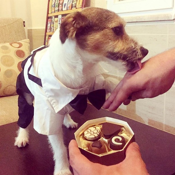 16-11/27/583a9d77c03c0e19dcd0652a