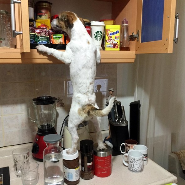 16-11/27/583a9d7bc03c0e19dcd06536