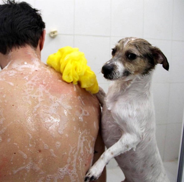 16-11/27/583a9d7bc03c0e19dcd06537